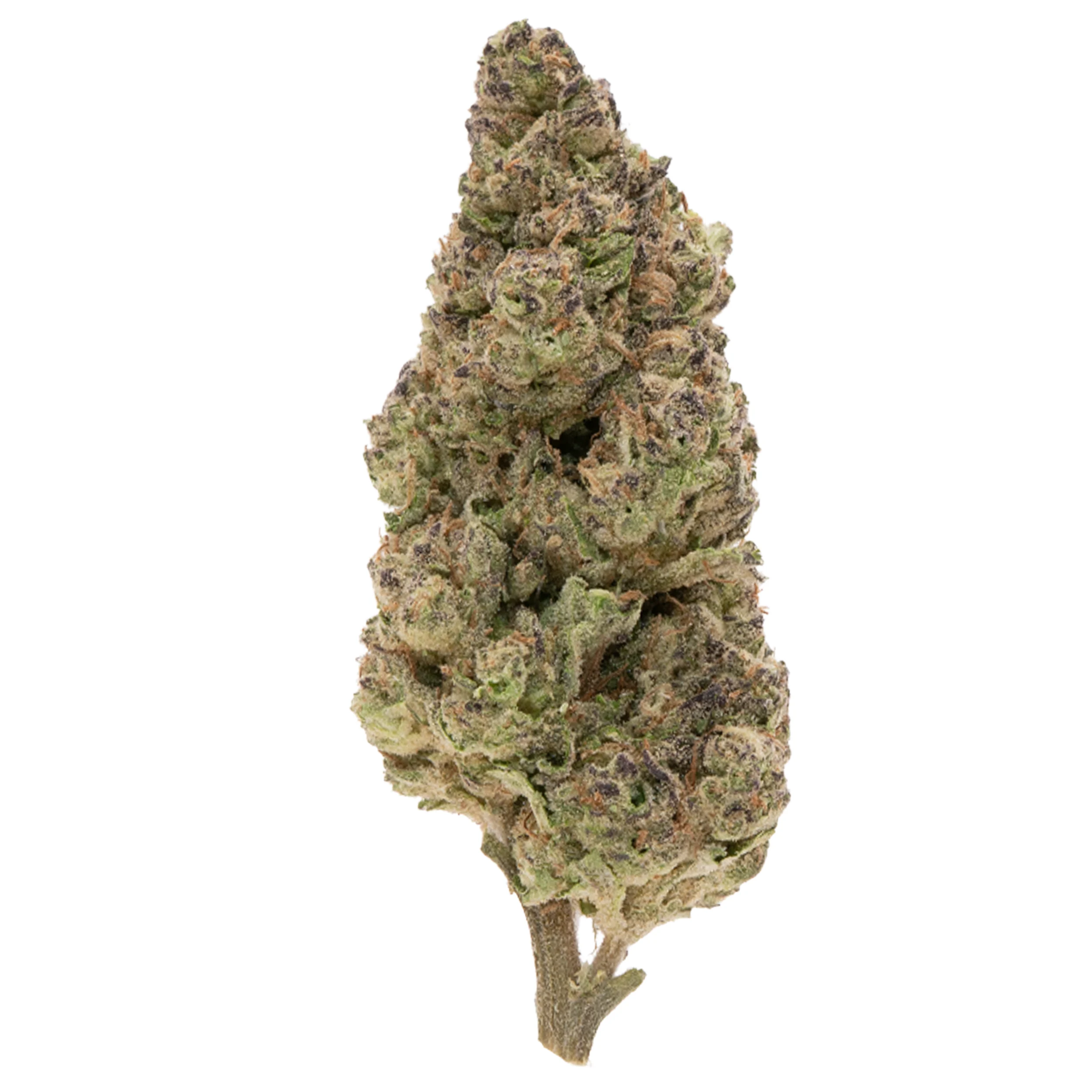 Now & Later – Top Shelf THCa Flower