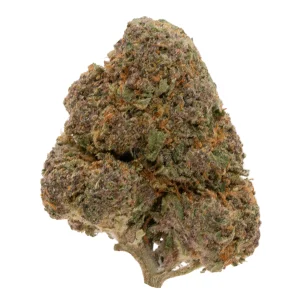 Purple Goo - Top Shelf THCa Flower